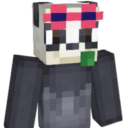 Sodium14 Minecraft avatar bust