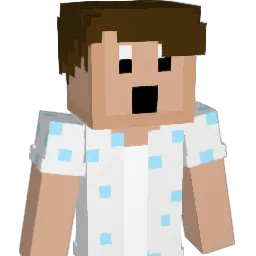 SoggyMan_ Minecraft avatar bust