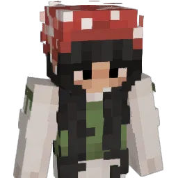 Sokahx Minecraft avatar bust