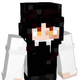 Sokolansa Minecraft avatar bust