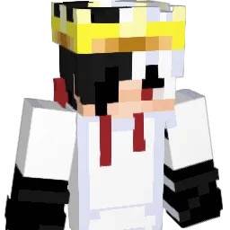 Sokolik2137 Minecraft avatar bust