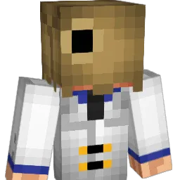 SolaireFan Minecraft avatar bust