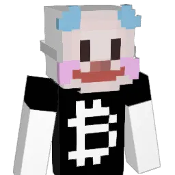 SolanaEnjoyer Minecraft avatar bust
