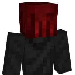 SolarNautilus's Minecraft skin