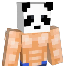 SolarTheMonkey Minecraft avatar bust