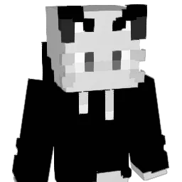 Solarky Minecraft avatar bust