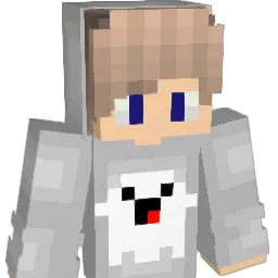 Soldier1317 Minecraft avatar bust