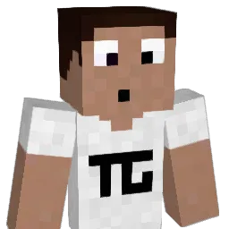 SoldierMichael's Minecraft skin