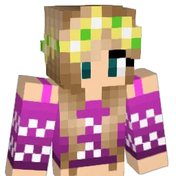 SolemnSB737 Minecraft avatar bust