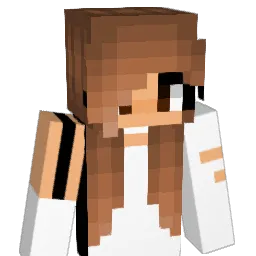 Solesito8 Minecraft avatar bust