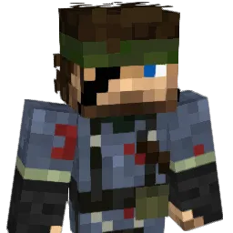 SolidSLR Minecraft avatar bust