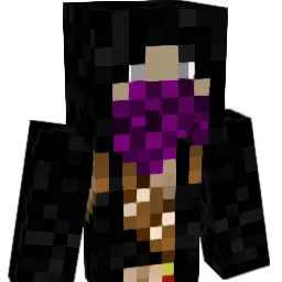 SolidState000 Minecraft avatar bust