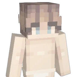 Solid_Company Minecraft avatar bust