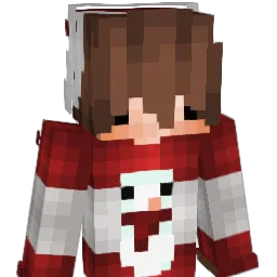 Solidification_n Minecraft avatar bust