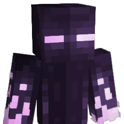 Solino9852 Minecraft avatar bust