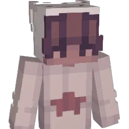 Solix__ Minecraft avatar bust