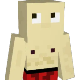 Sollang Minecraft avatar bust