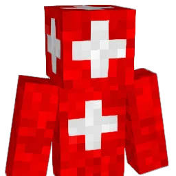 Solli99 Minecraft avatar bust