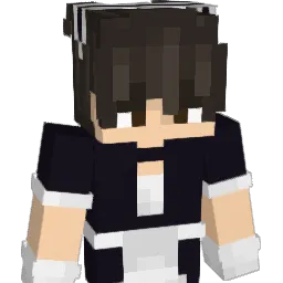 Solo_on Minecraft avatar bust