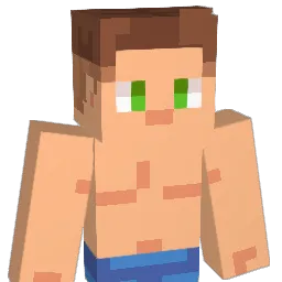 Solohost Minecraft avatar bust