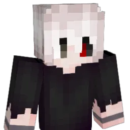 Soltx Minecraft avatar bust