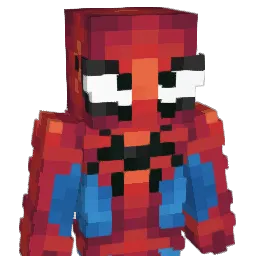 SolvedWinner147 Minecraft avatar bust