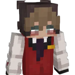 SolvryMc Minecraft avatar bust