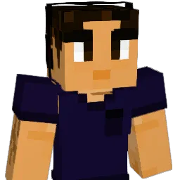 Solyn222 Minecraft avatar bust