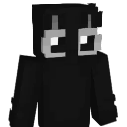 SombraN447 Minecraft avatar bust