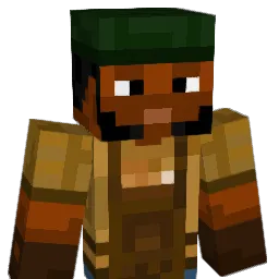 SomeStayDry Minecraft avatar bust