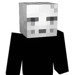 SomeoneReal Minecraft avatar bust