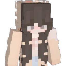 SonderV2 Minecraft avatar bust