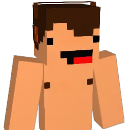 SoniakPL Minecraft avatar bust