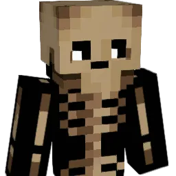 Sonkowaffles Minecraft avatar bust