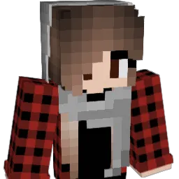 Sonnecool12 Minecraft avatar bust