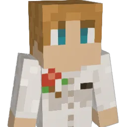 Soollz Minecraft avatar bust