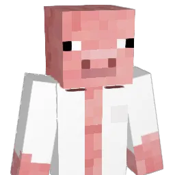 Sopellll Minecraft avatar bust