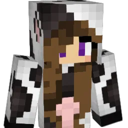 SophiaI Minecraft avatar bust