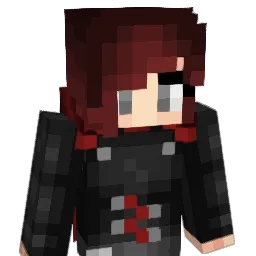 Soraga54 Minecraft avatar bust