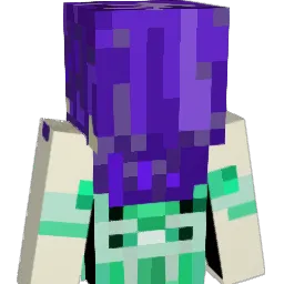 Soragon0203 Minecraft avatar bust