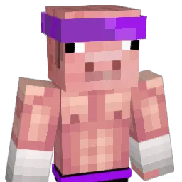 Sorrisinho069 Minecraft avatar bust
