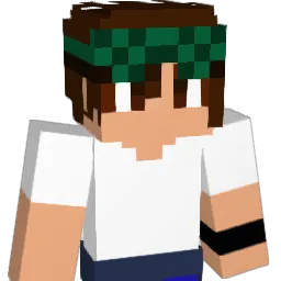 SoulFry's Minecraft skin