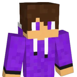 Soul_Playz Minecraft avatar bust