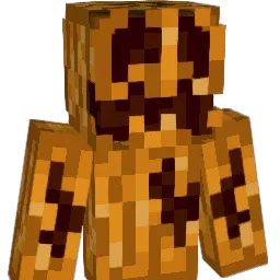 Souljaboy657 Minecraft avatar bust