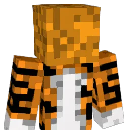 SoupCookies Minecraft avatar bust