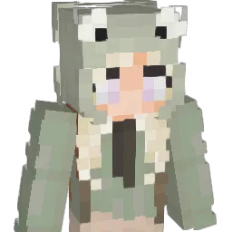 SourPickle2010 Minecraft avatar bust