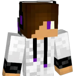 Sourpoptarts45 Minecraft avatar bust
