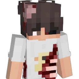 SouthTM's Minecraft skin