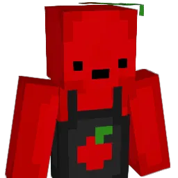 Sowballs Minecraft avatar bust