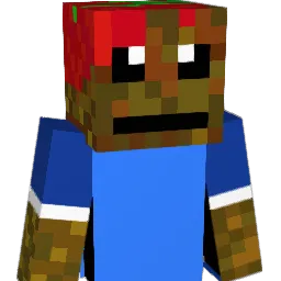 SoySauceEnjoyer8 Minecraft avatar bust
